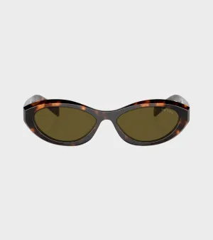 0PR 26ZS Honey Tortoise