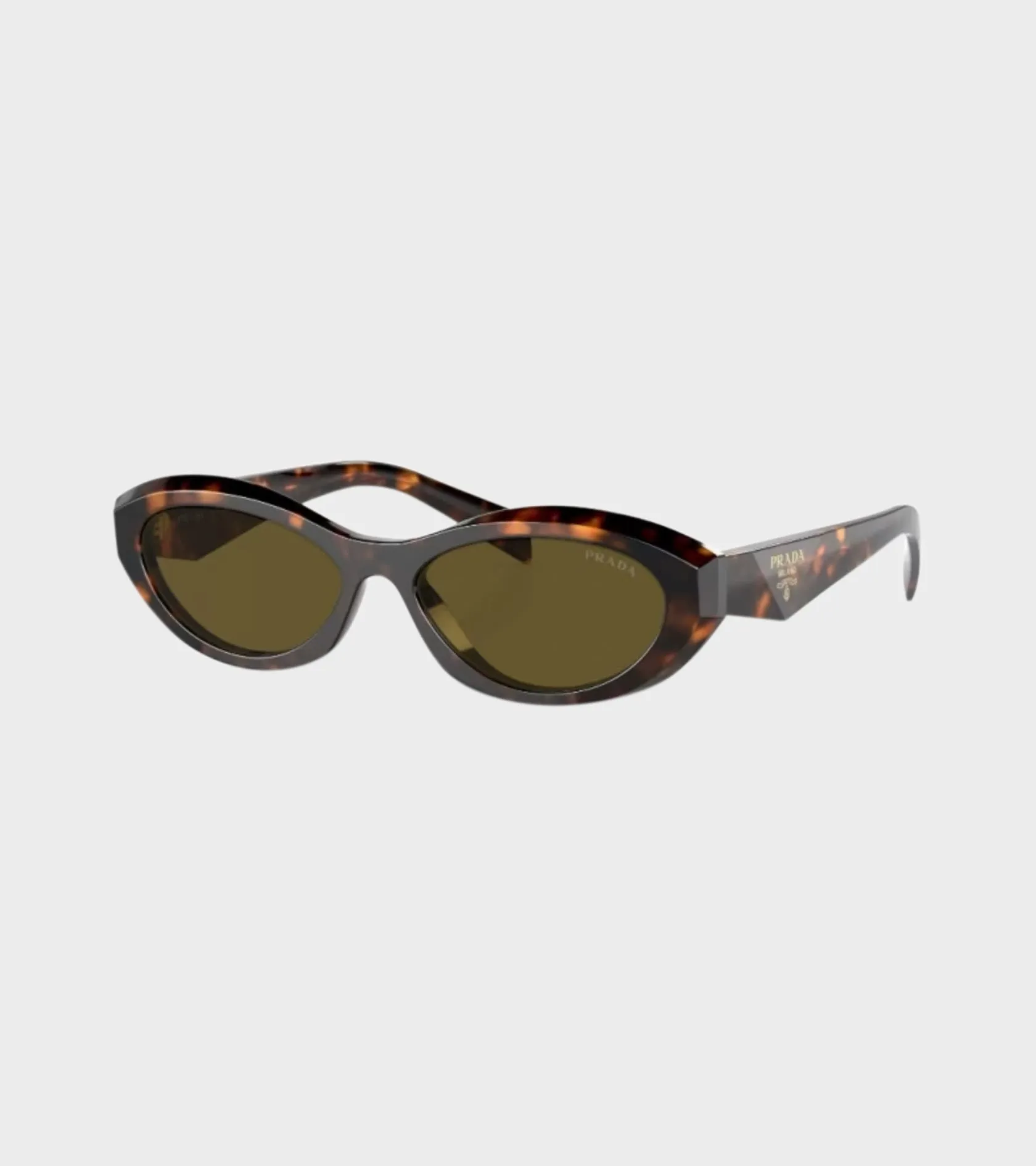 0PR 26ZS Honey Tortoise