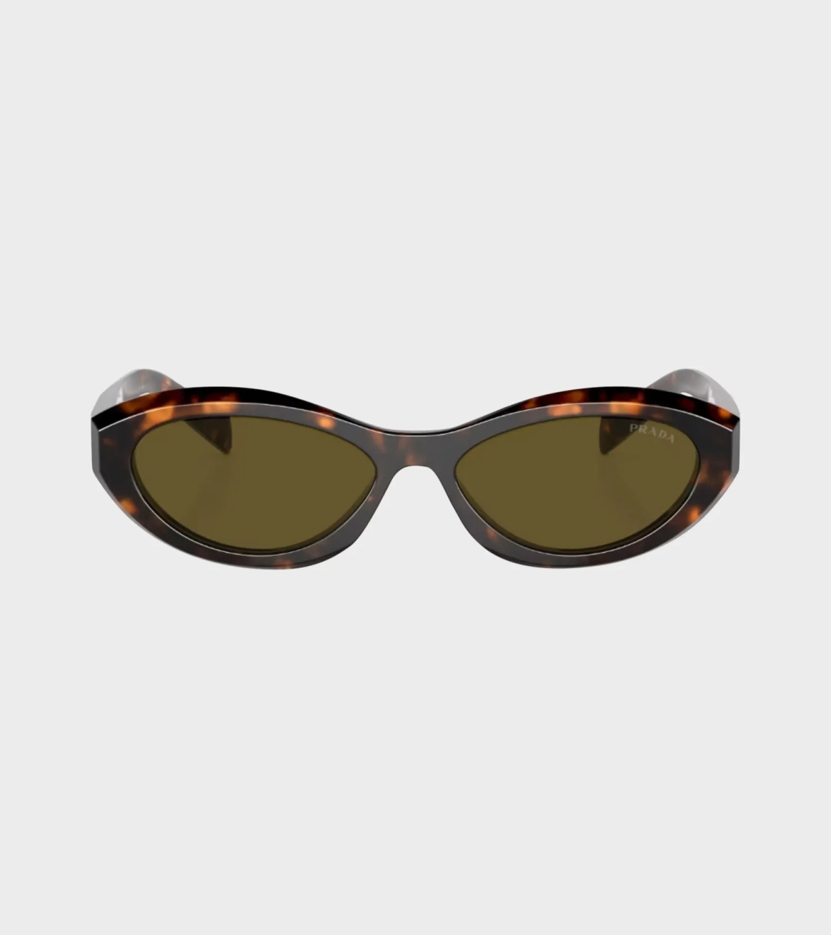 0PR 26ZS Honey Tortoise